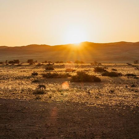 The Desert Grace Solitaire Dış mekan fotoğraf