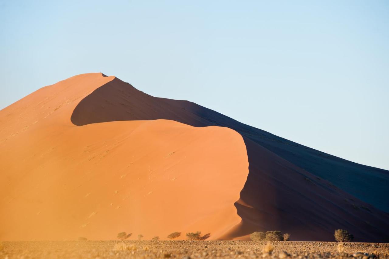 The Desert Grace Solitaire Dış mekan fotoğraf