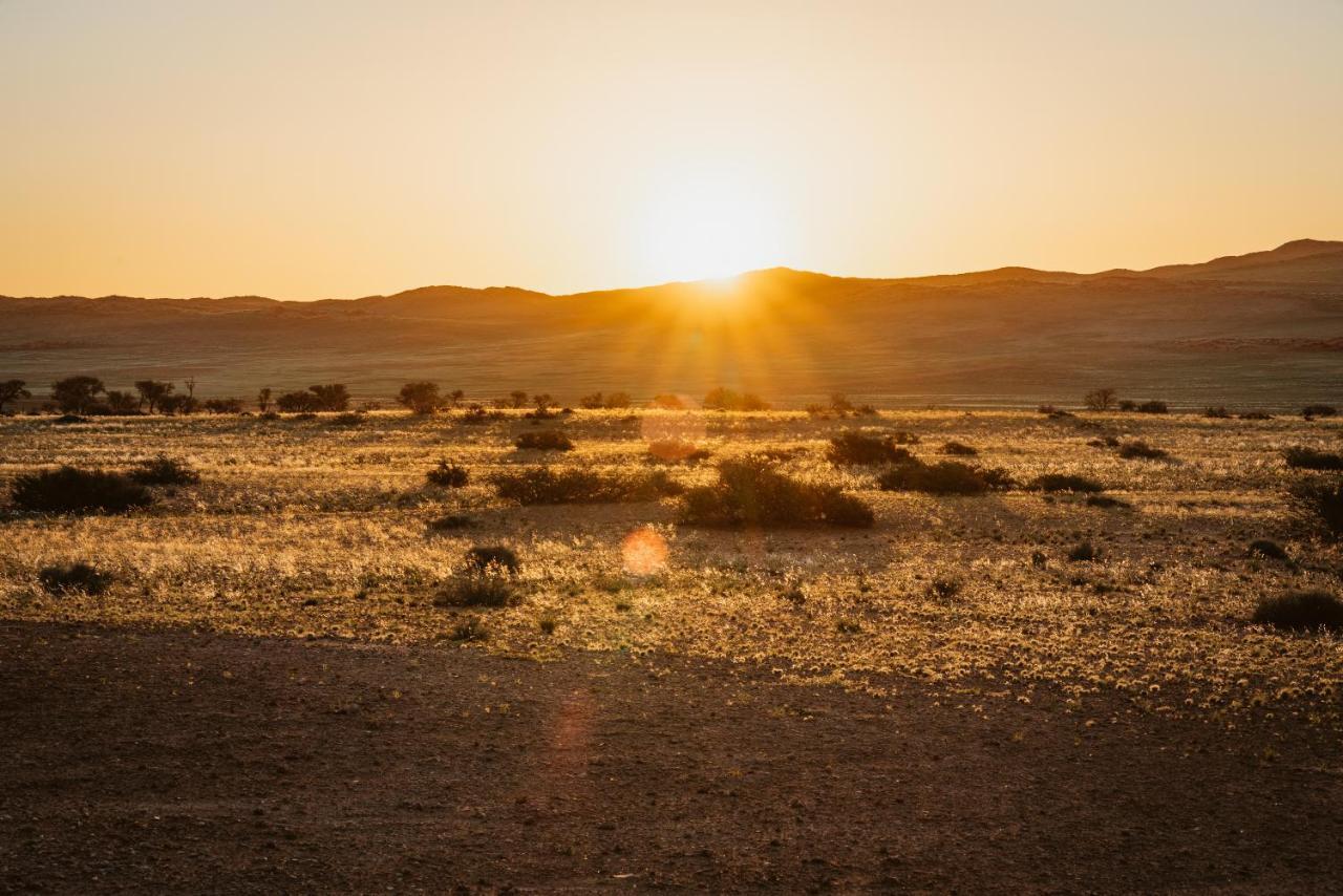 The Desert Grace Solitaire Dış mekan fotoğraf